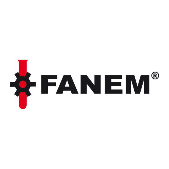 Logo Fanem